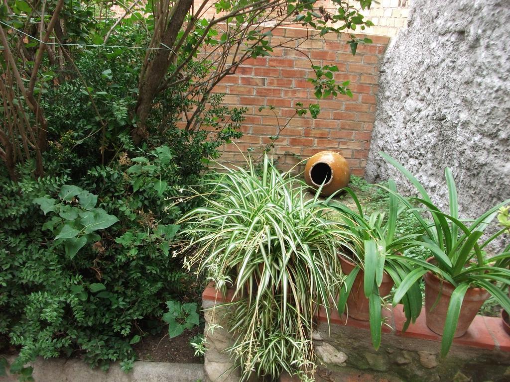 Ca La Paula Villa Pla del Panadés Exteriör bild